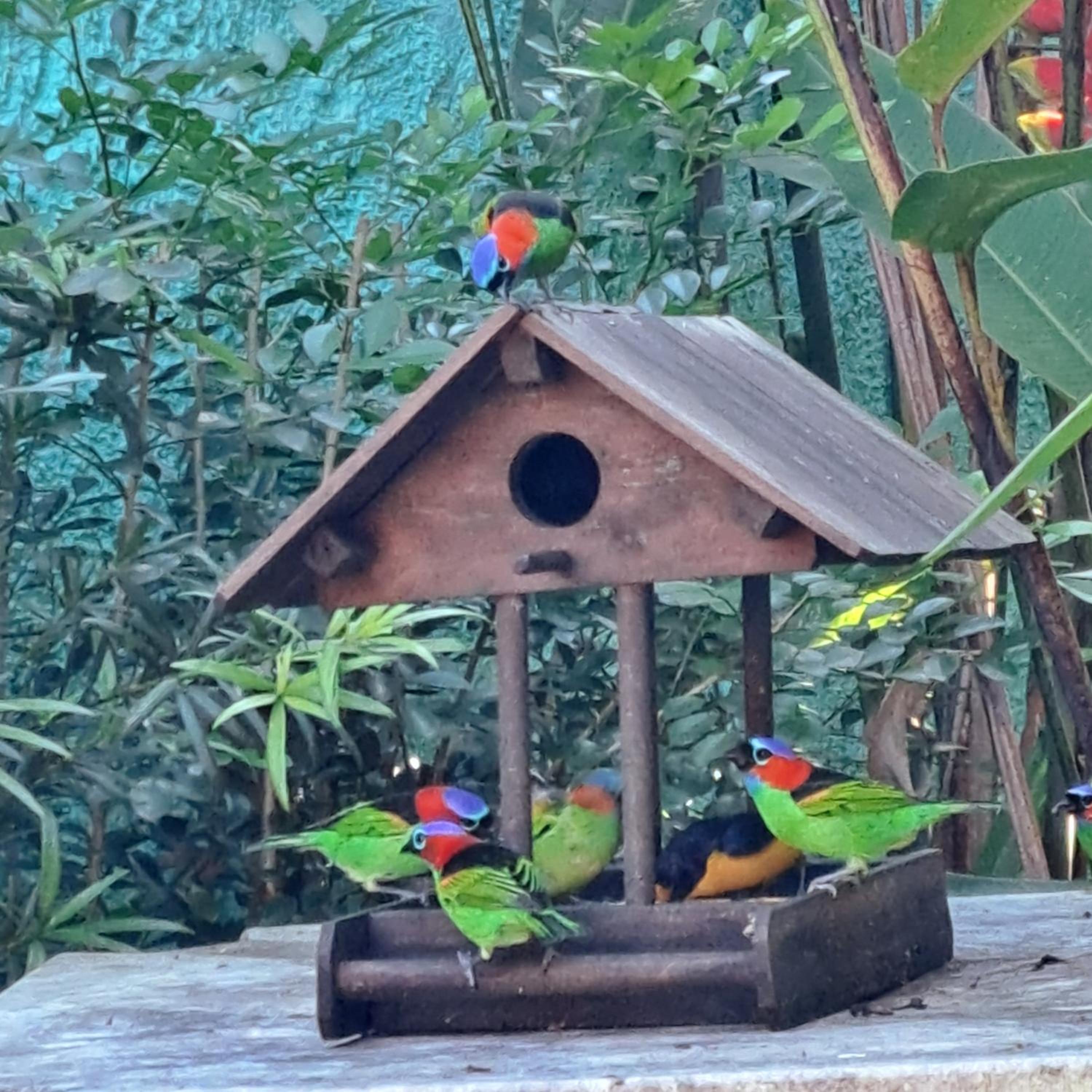 Pousada Trilha da Serra