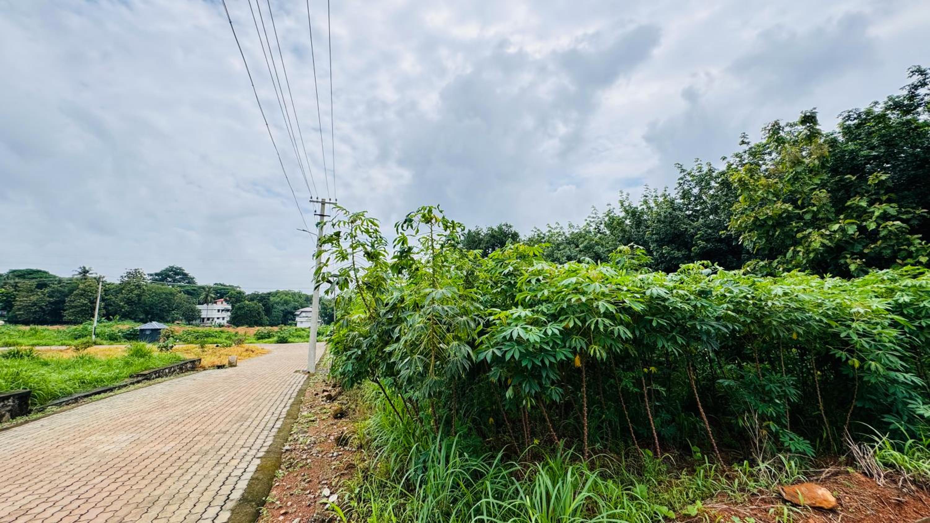 Rose Garden at Rajagiri Hospital