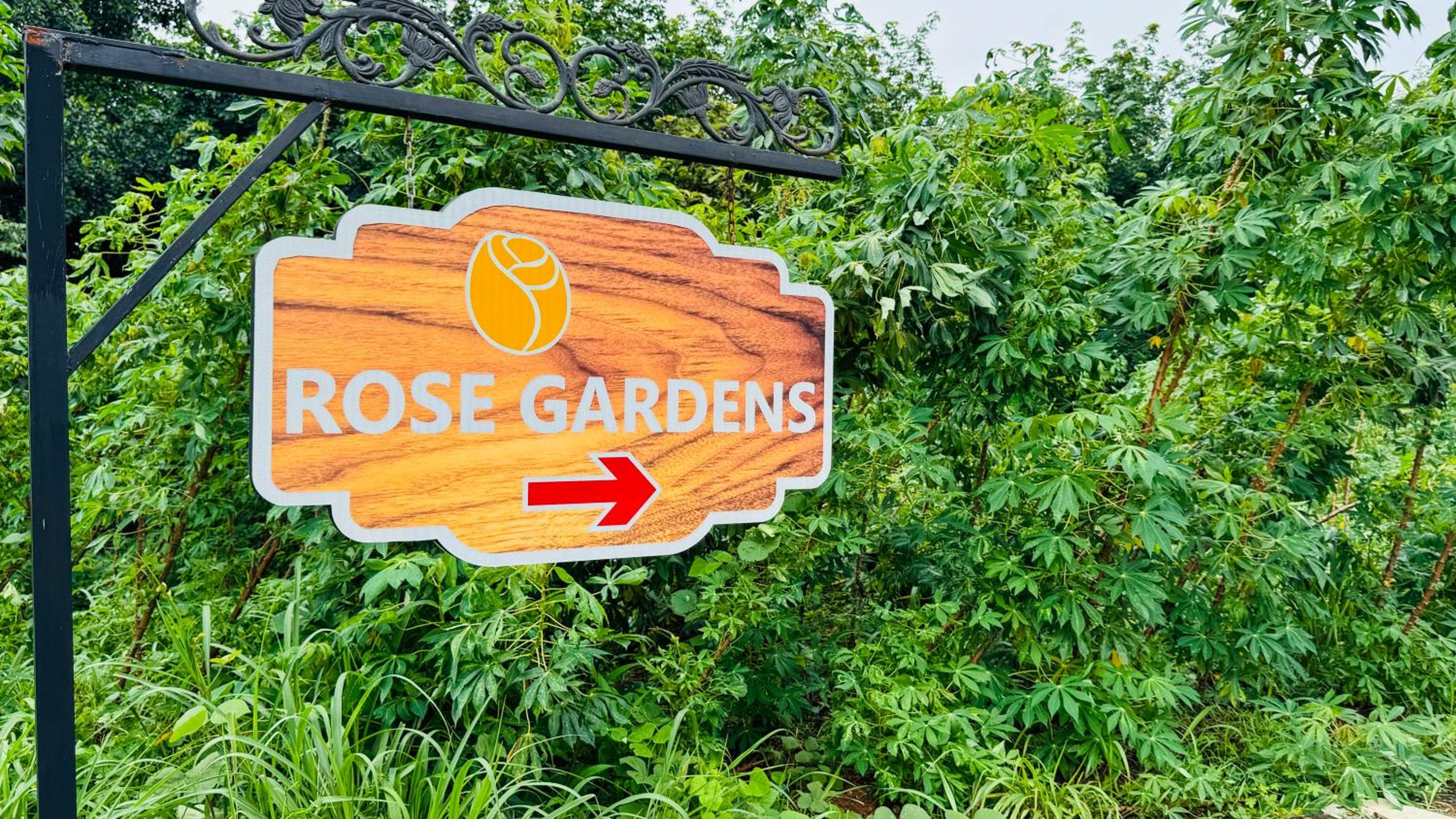 Rose Garden at Rajagiri Hospital