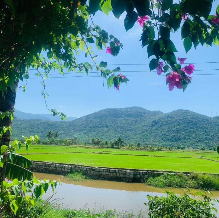 ba ho green field homestay