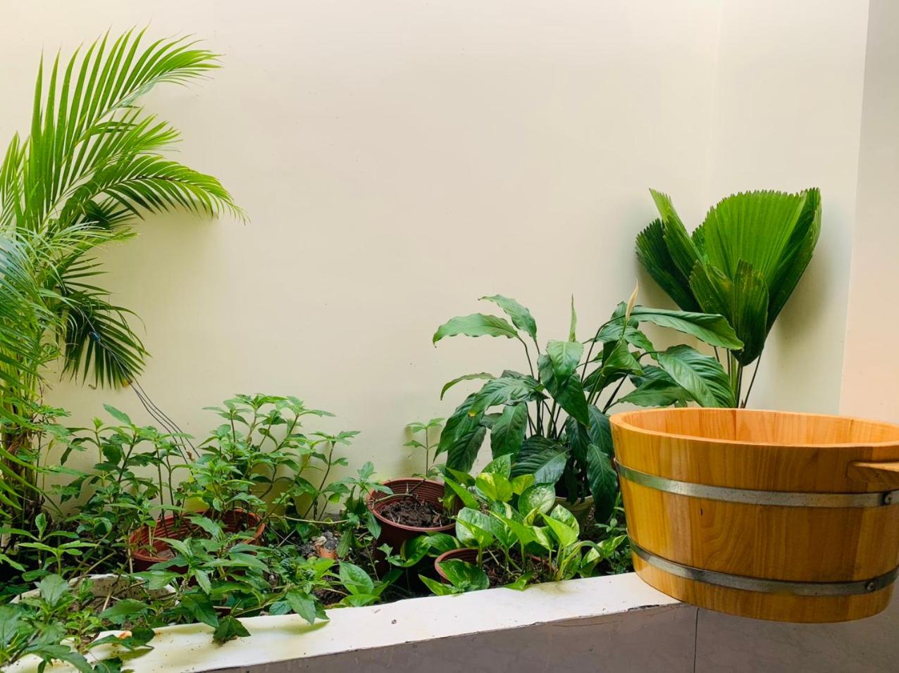 ba ho green field homestay