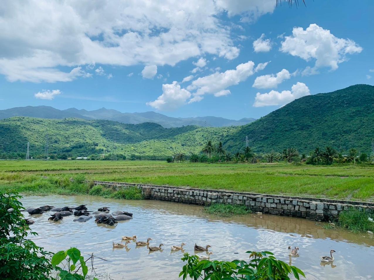 ba ho green field homestay