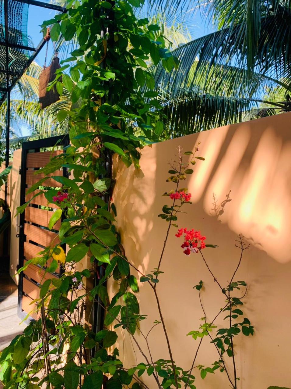 ba ho green field homestay
