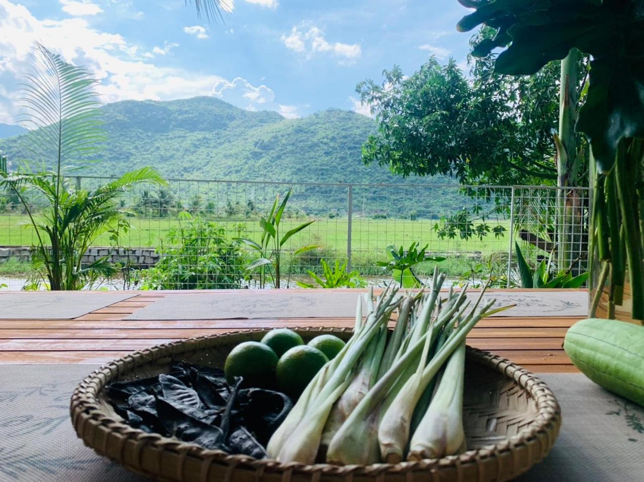 ba ho green field homestay
