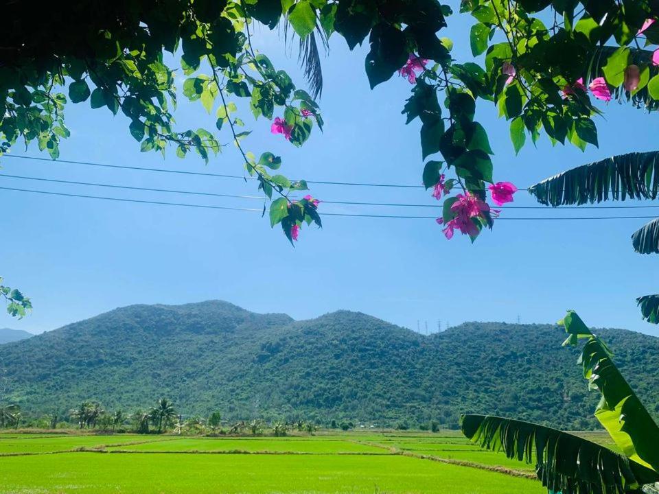 ba ho green field homestay
