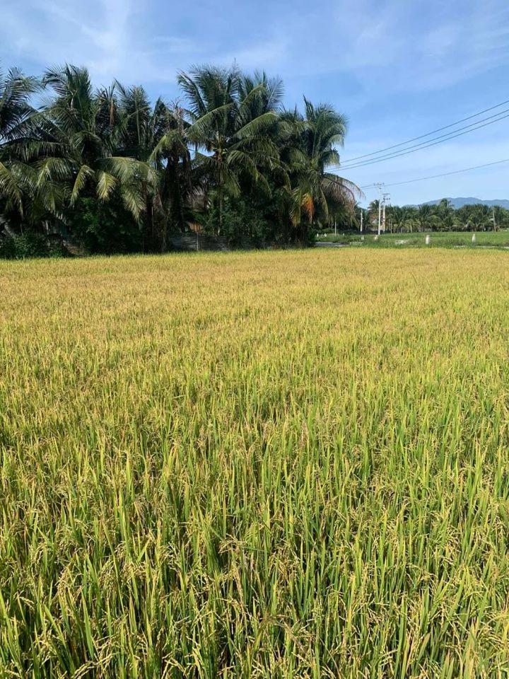 ba ho green field homestay
