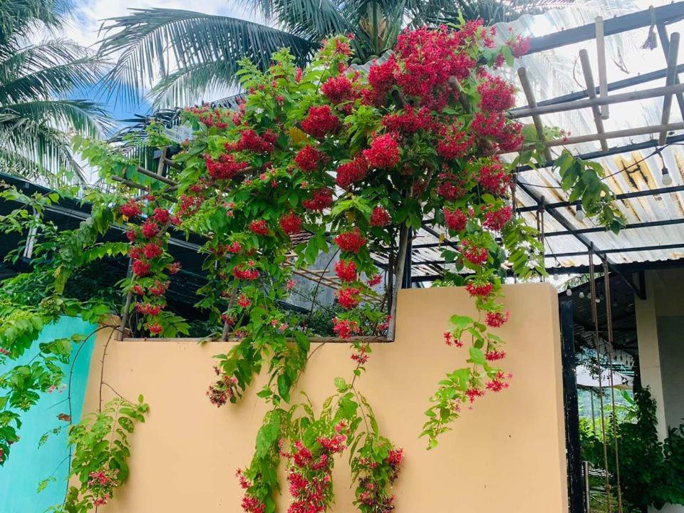 ba ho green field homestay