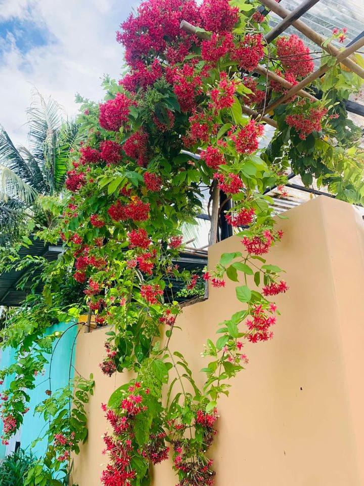 ba ho green field homestay