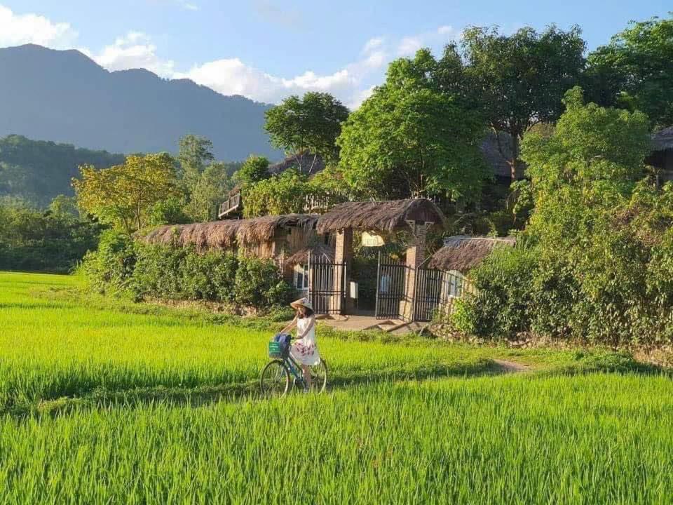 ba ho green field homestay