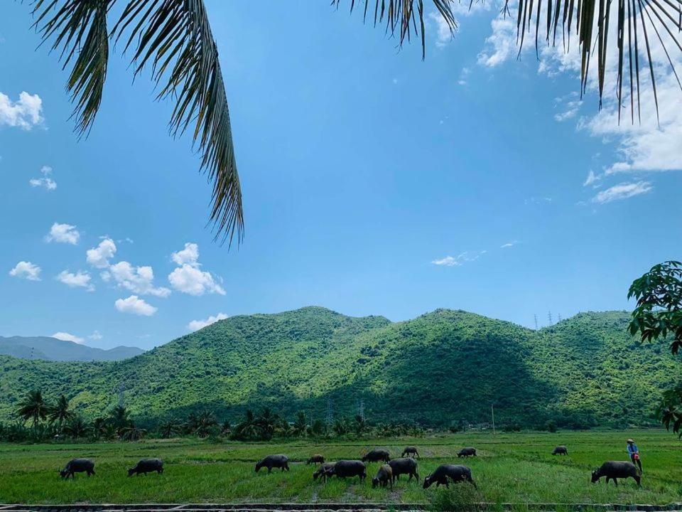 ba ho green field homestay