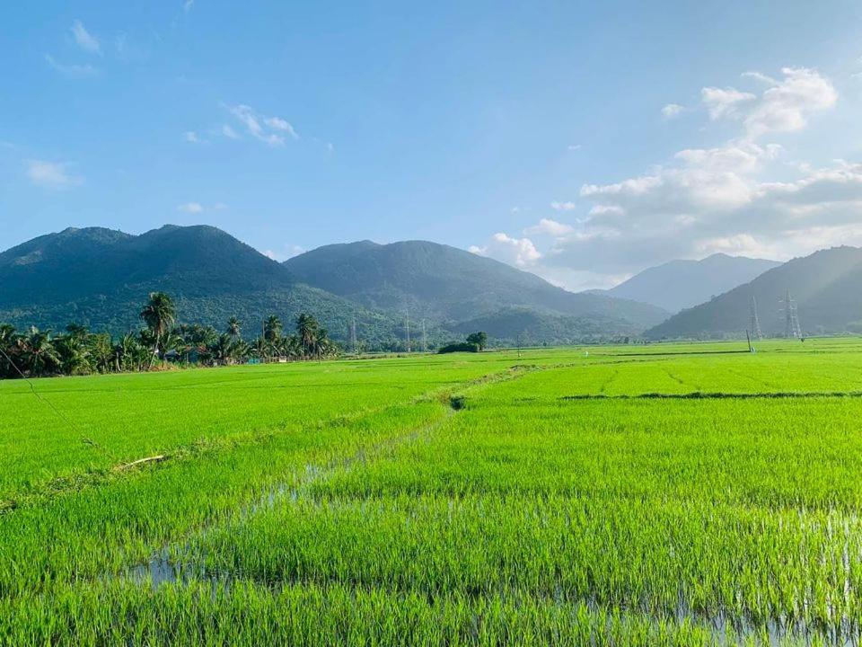 ba ho green field homestay