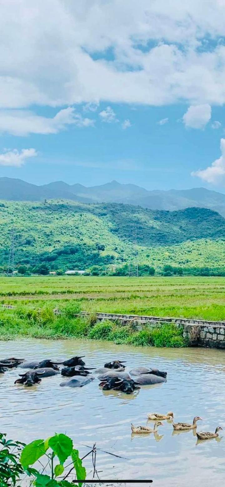 ba ho green field homestay