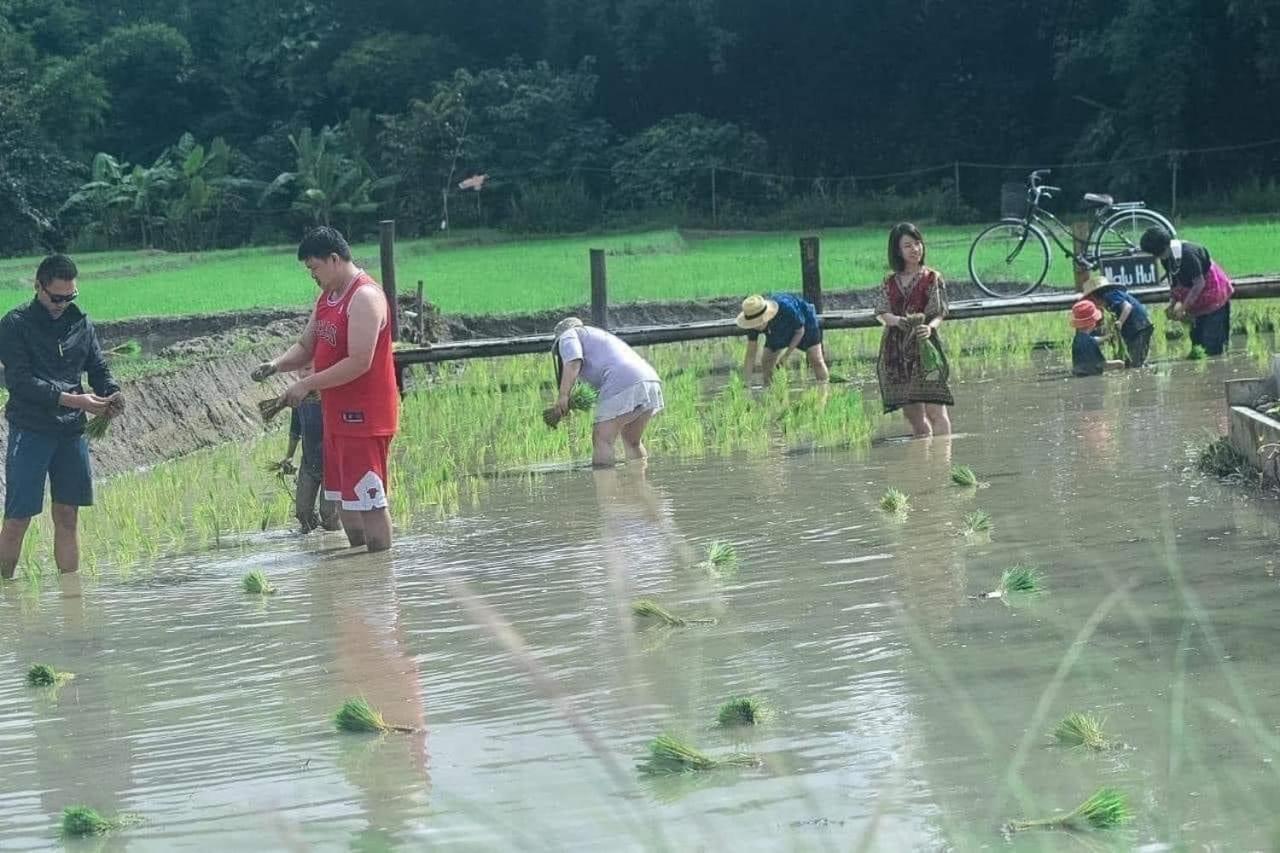 ba ho green field homestay