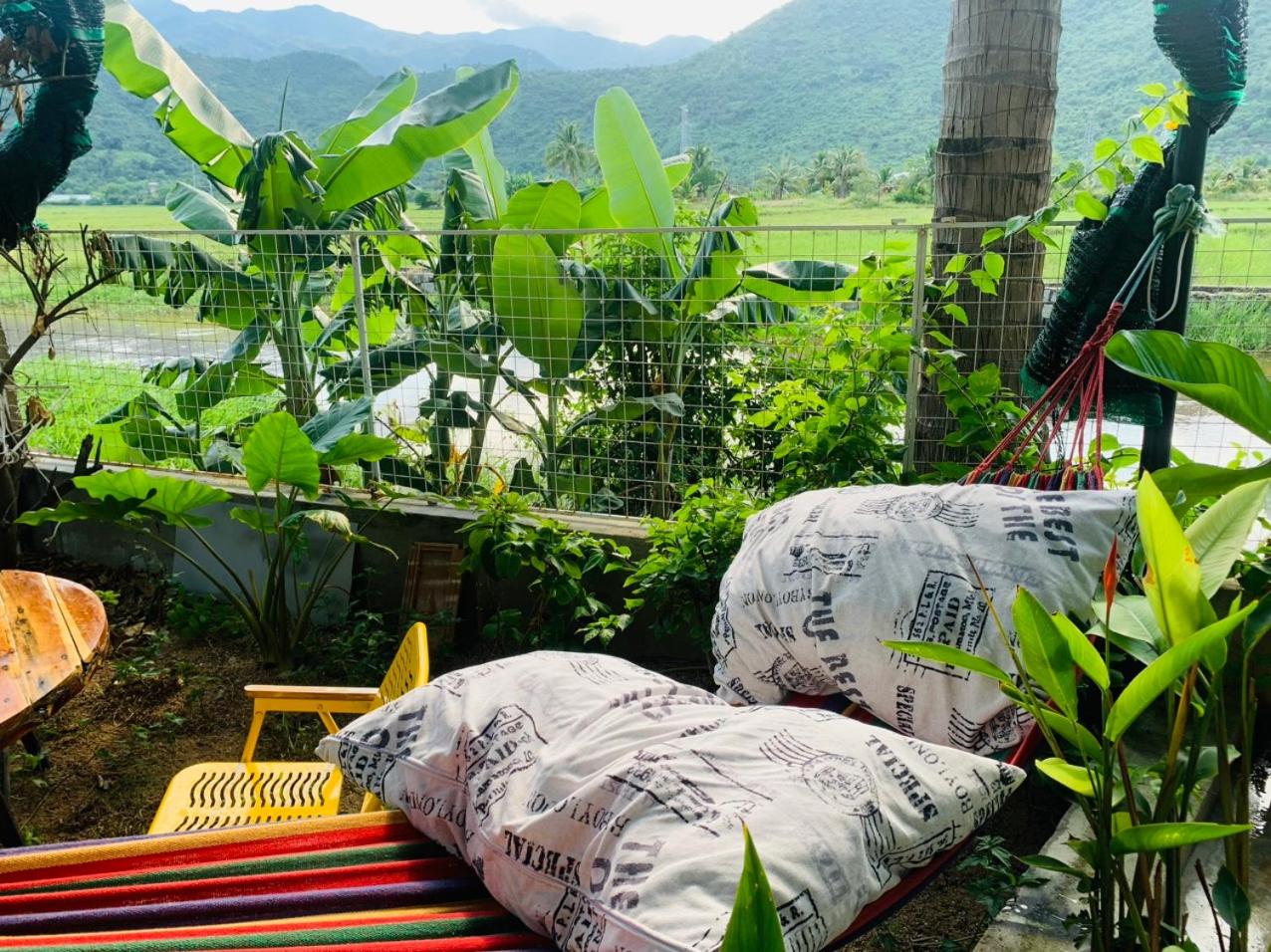 ba ho green field homestay