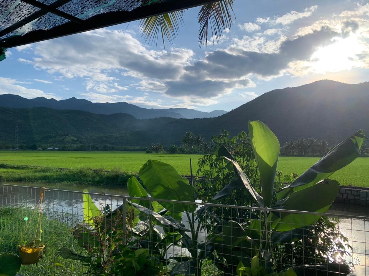 ba ho green field homestay