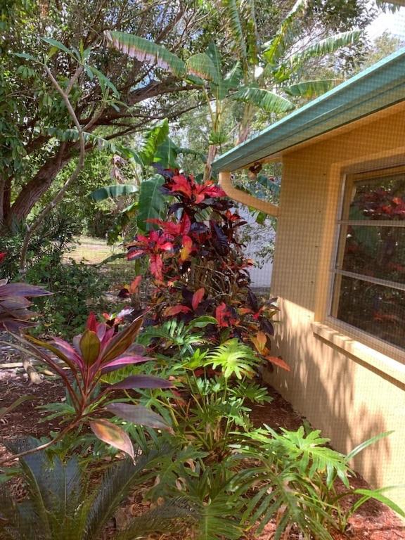 Bonita Mango House