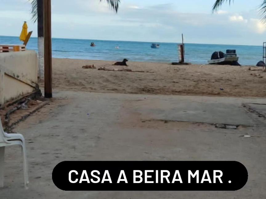 casa em japaratinga