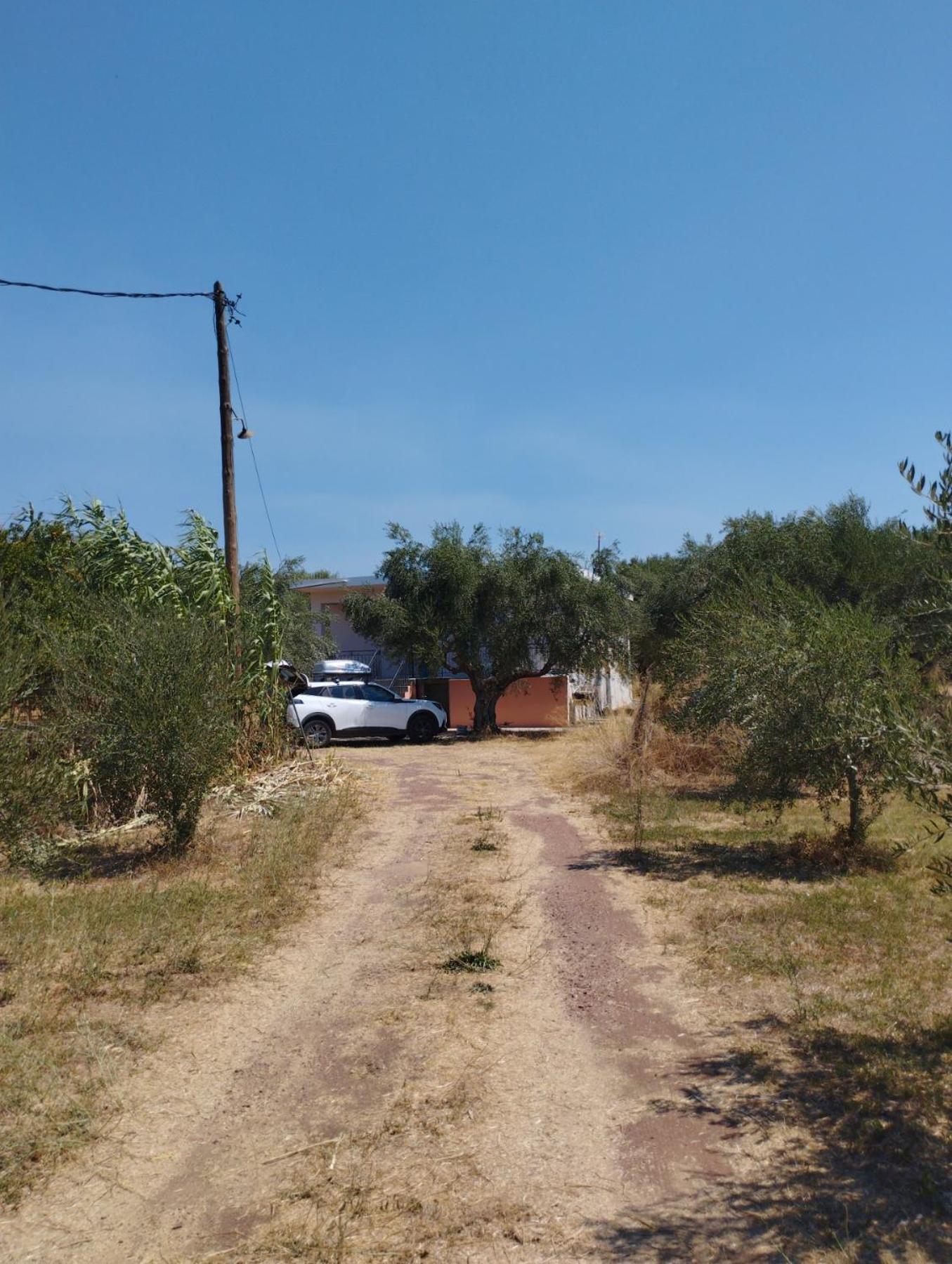 Ilektras Haus