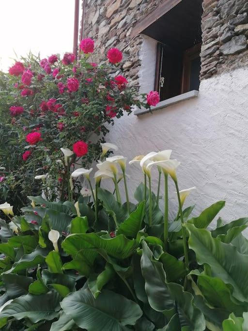 Photo 29