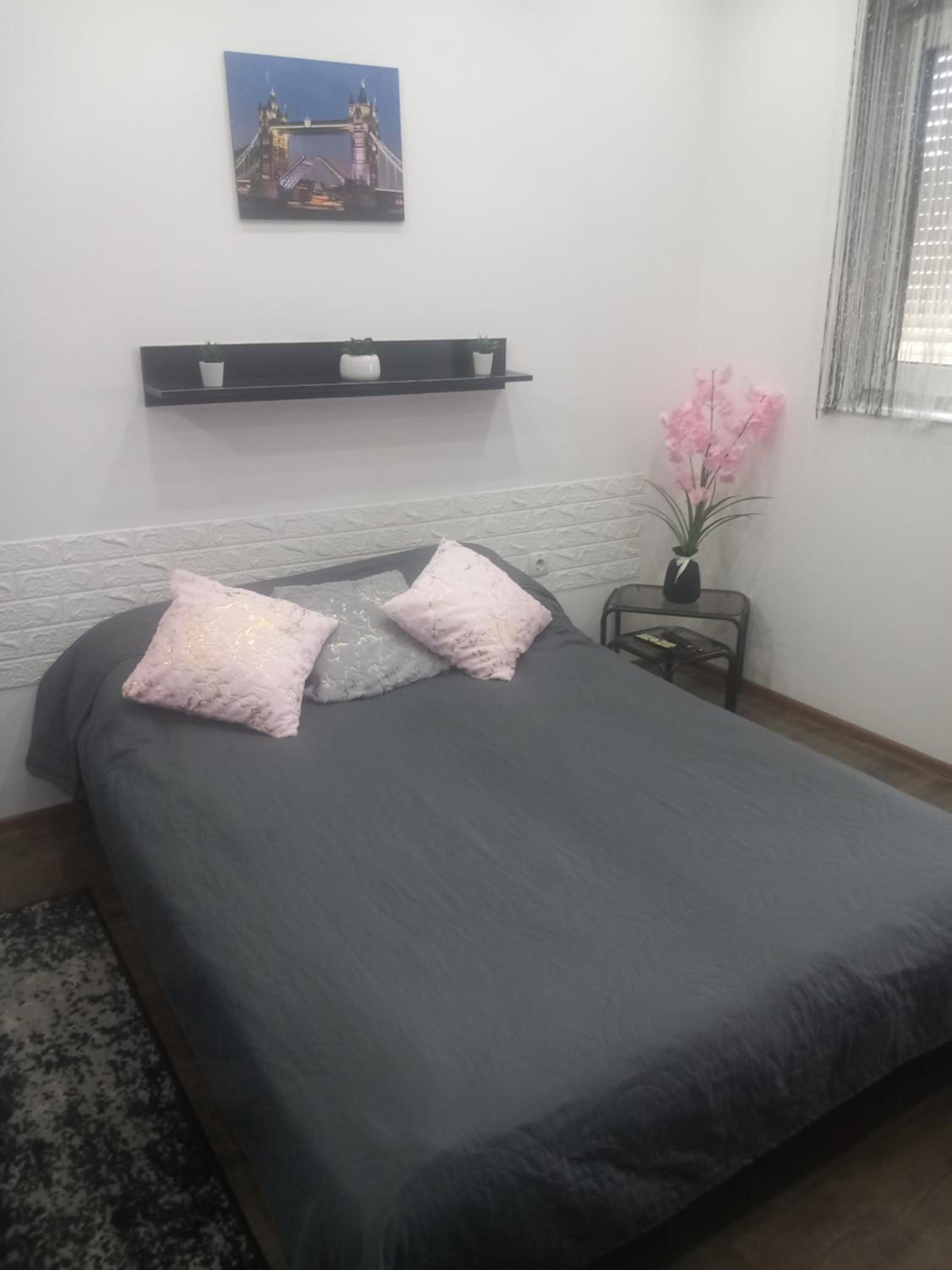 Apartman Dejana view 4