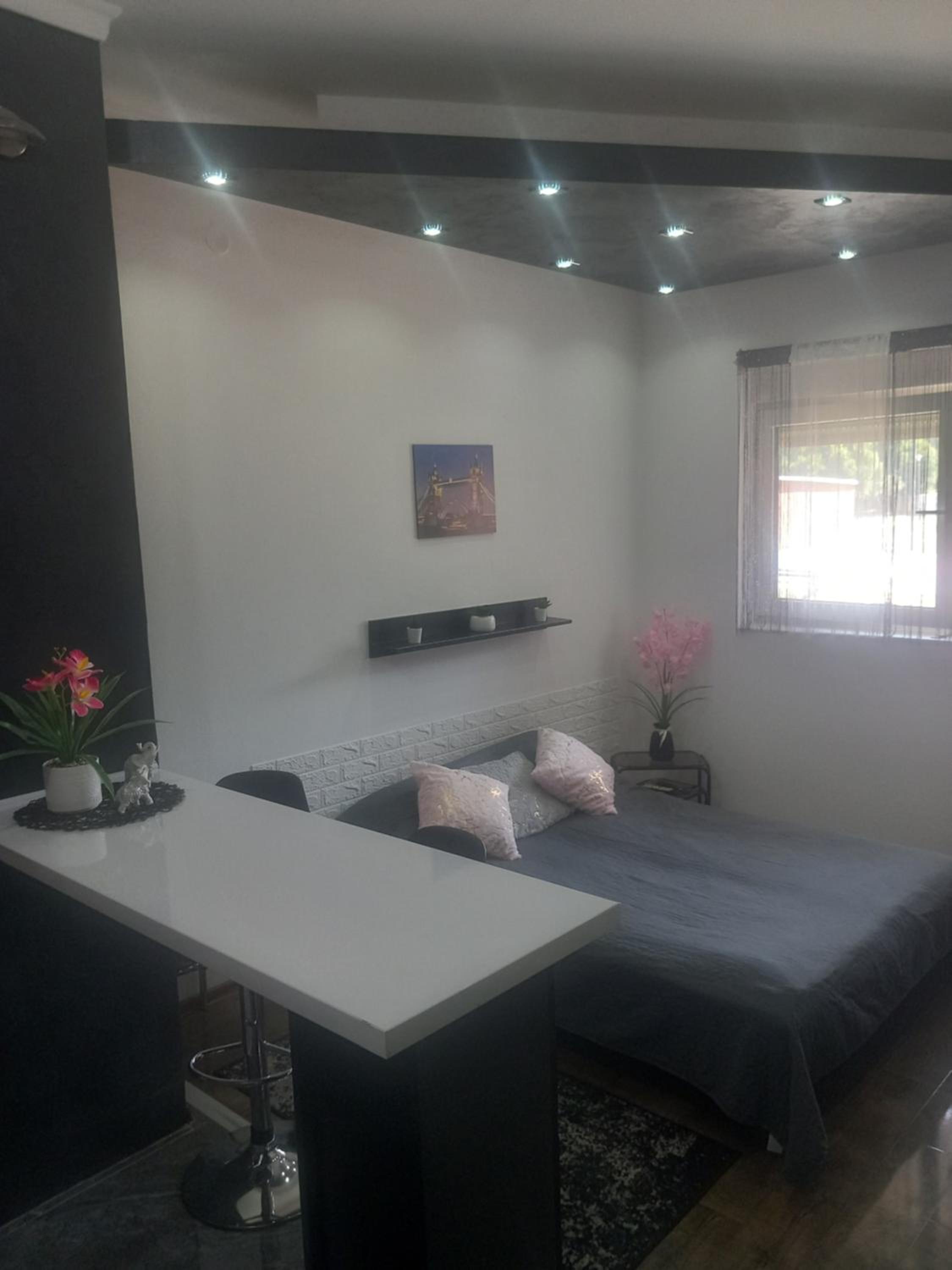 Apartman Dejana view 5