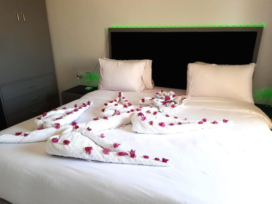Jasmine Aldau Heights Hurghada rent one bedroom apartment
