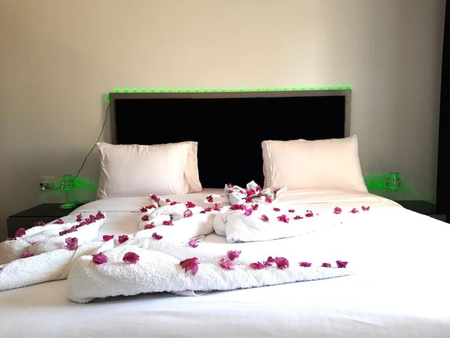 Jasmine Aldau Heights Hurghada rent one bedroom apartment