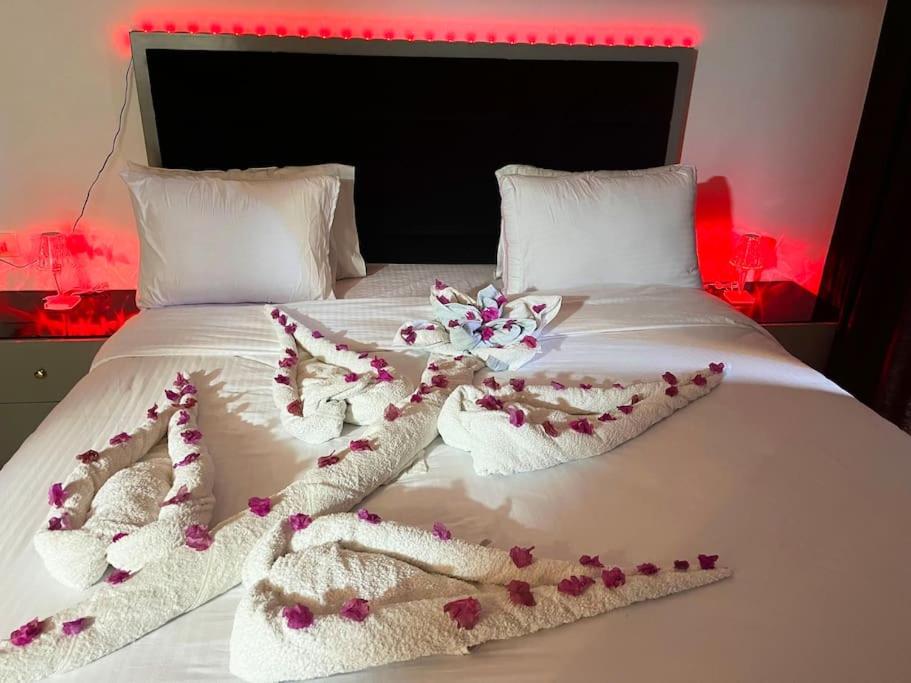 Jasmine Aldau Heights Hurghada rent one bedroom apartment