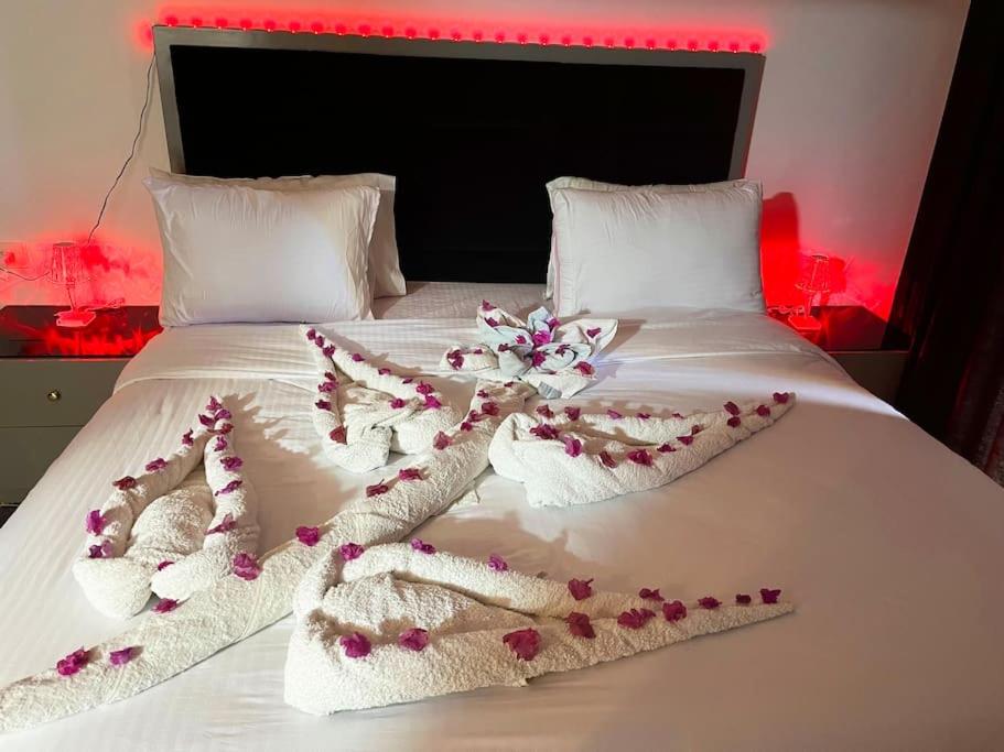 Jasmine Aldau Heights Hurghada rent one bedroom apartment