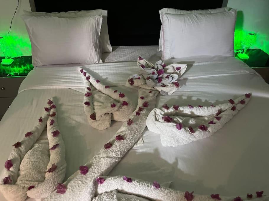 Jasmine Aldau Heights Hurghada rent one bedroom apartment