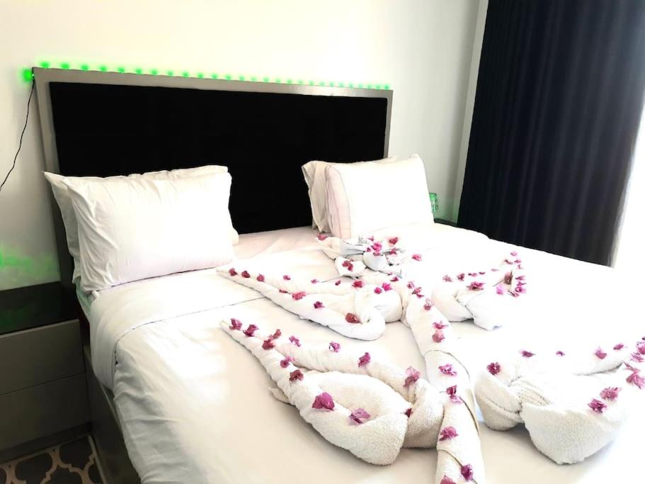 Jasmine Aldau Heights Hurghada rent one bedroom apartment