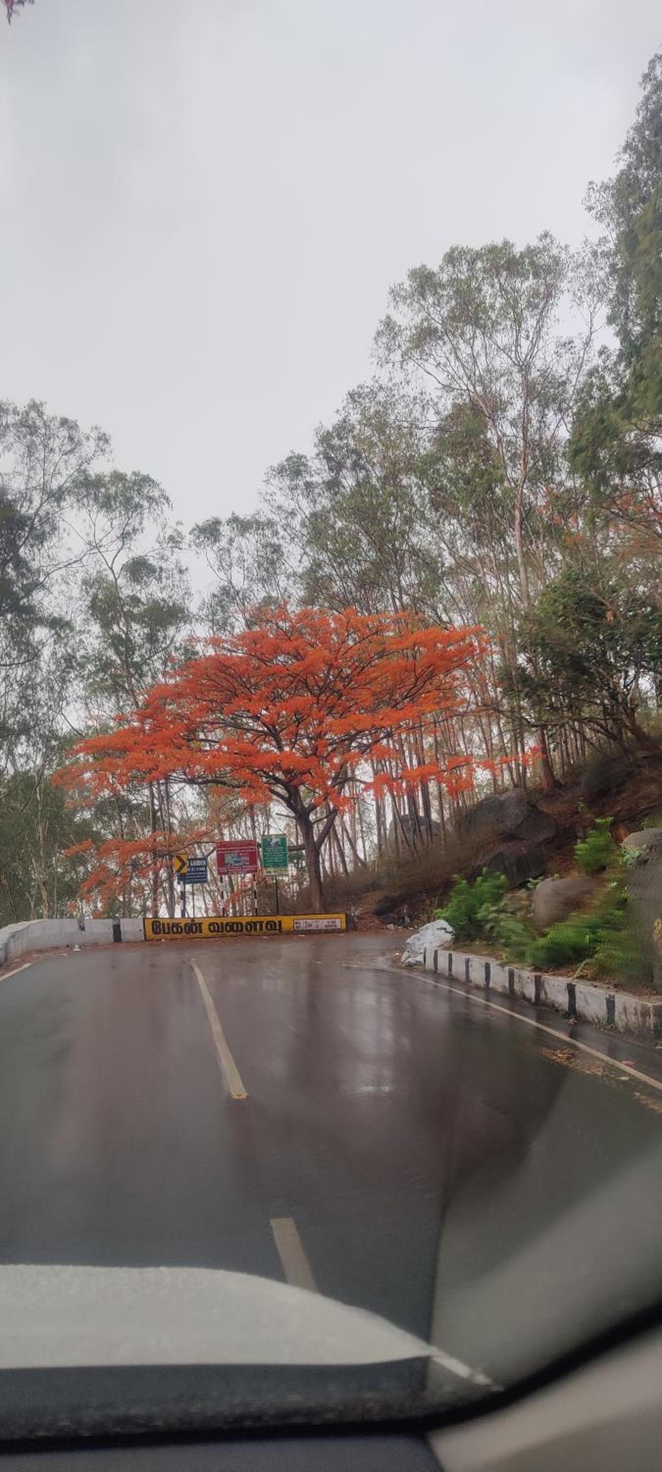 yelagiri residency