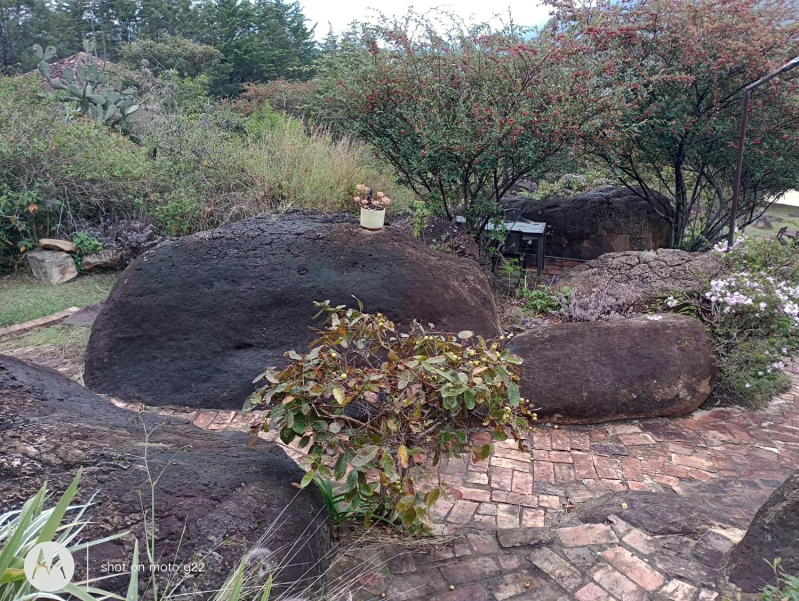 El Hayuelo Ecolodge