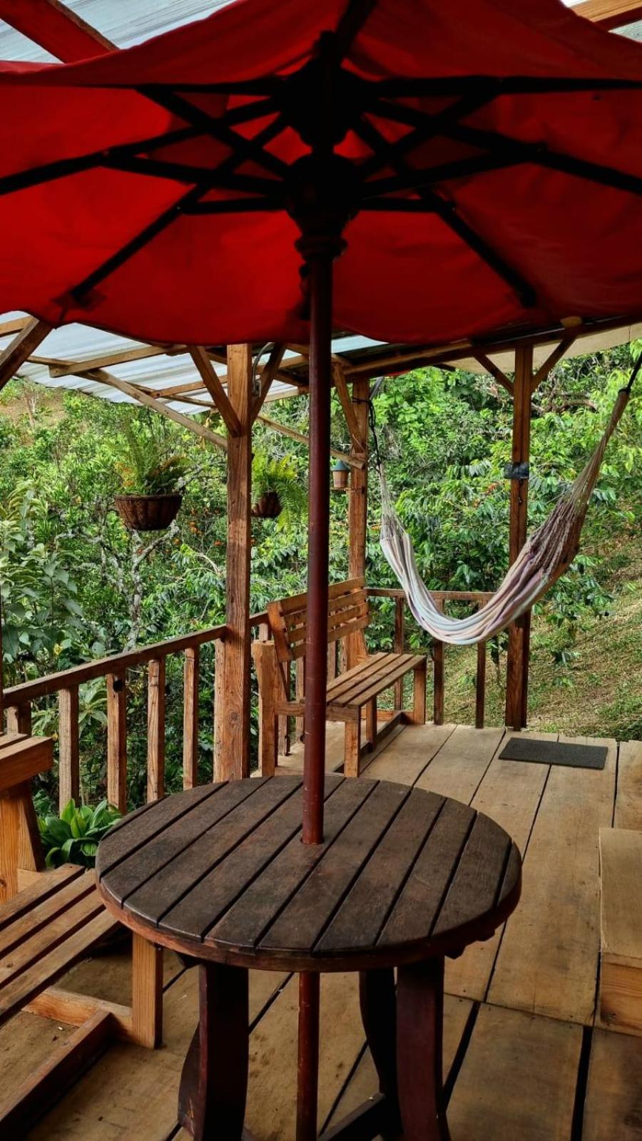 PANCHIGUA HOSTEL