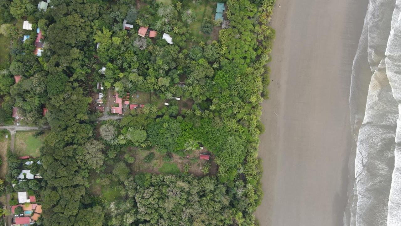 Nomadic Surf Camp