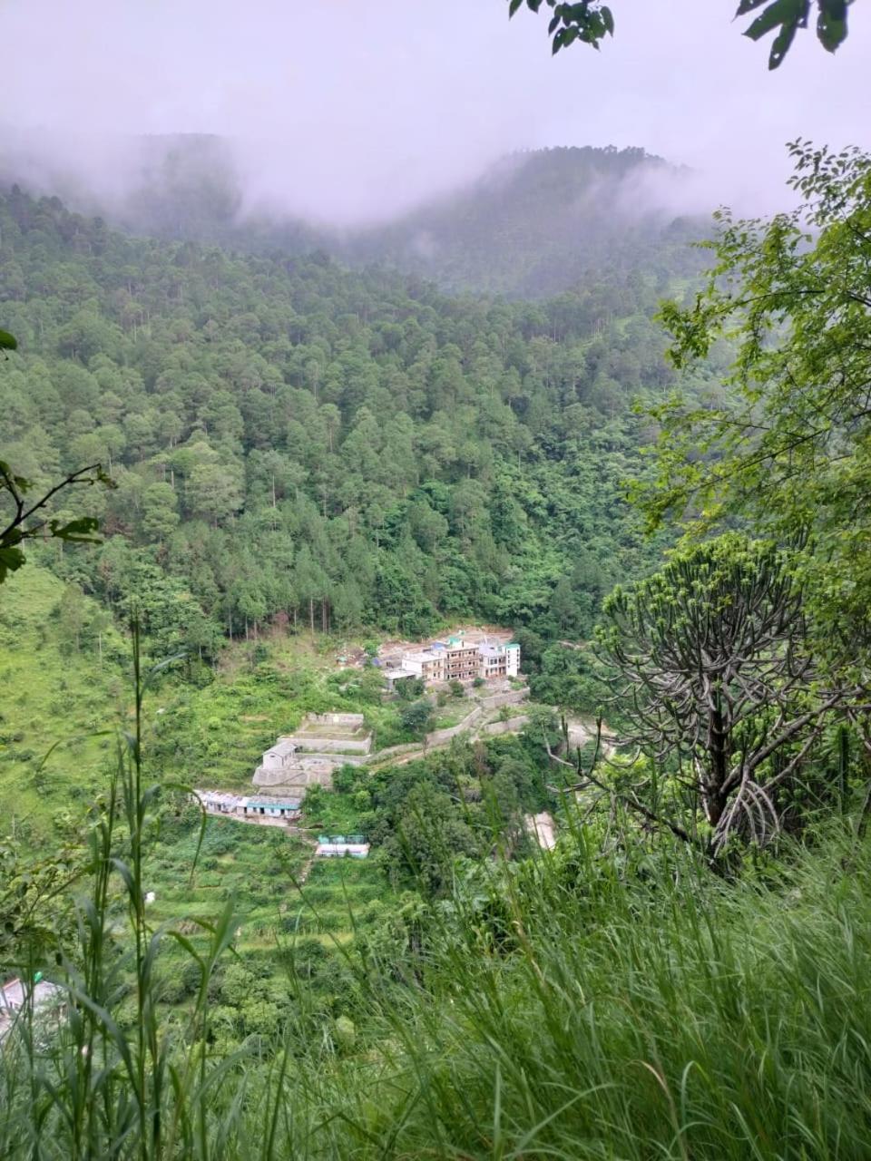 Maulyar Forest Resort
