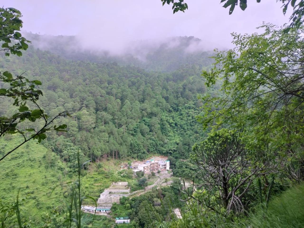Maulyar Forest Resort