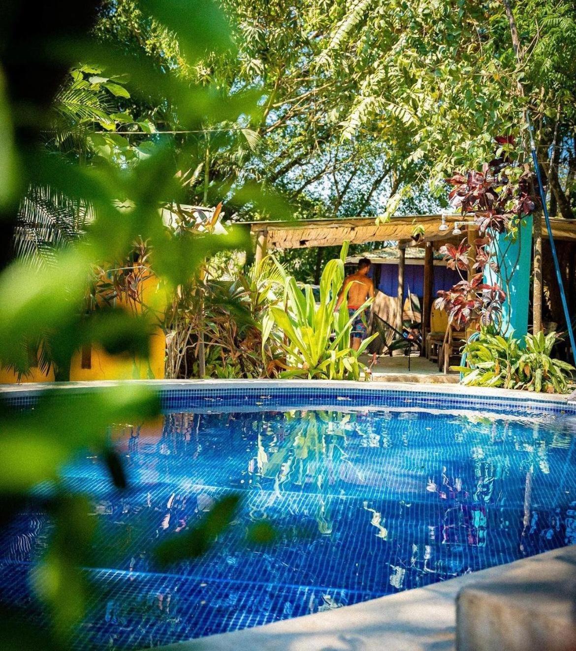 Pura Vida Mini Hostel Santa Teresa view 3