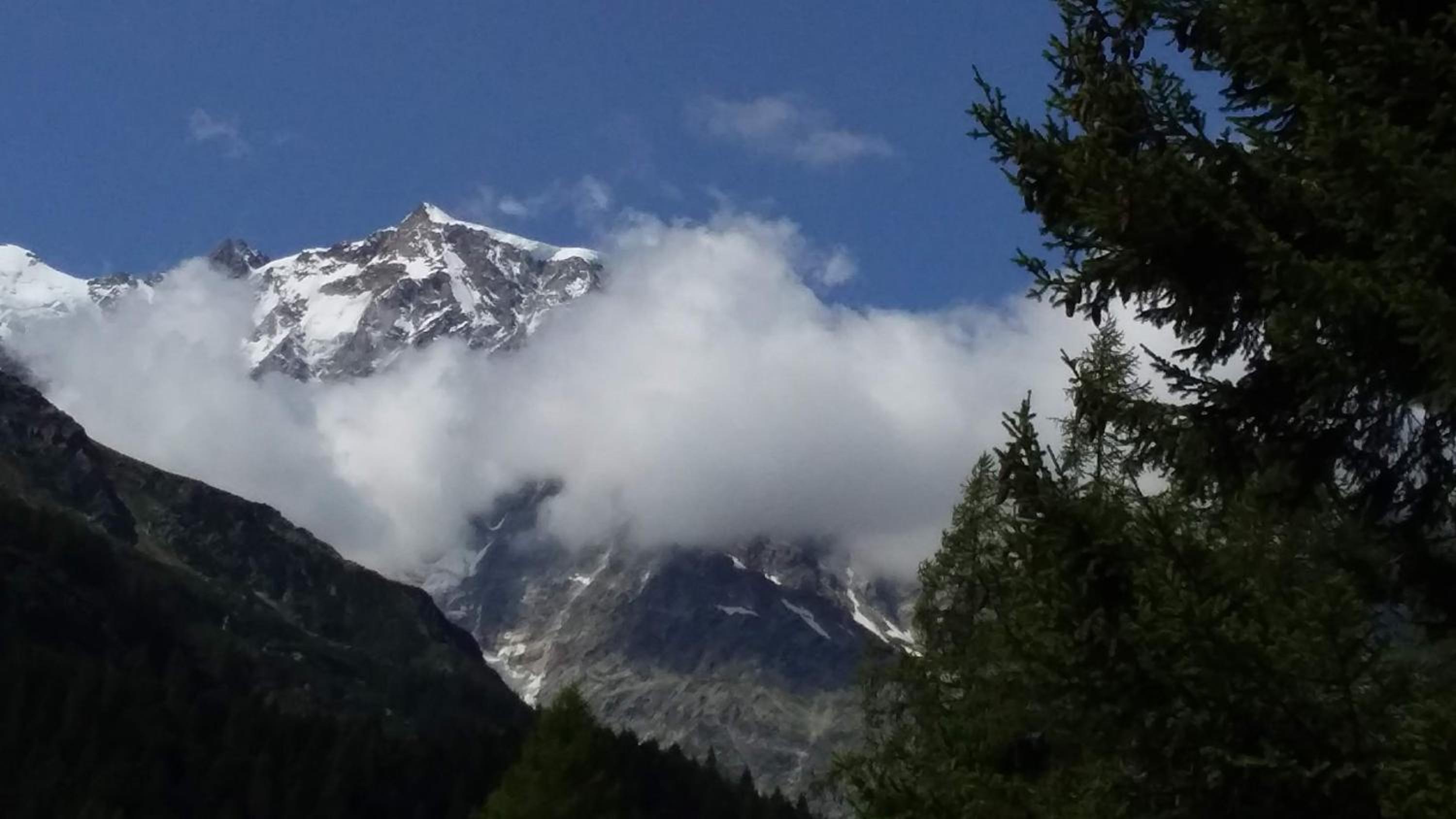 La dimora delle corti