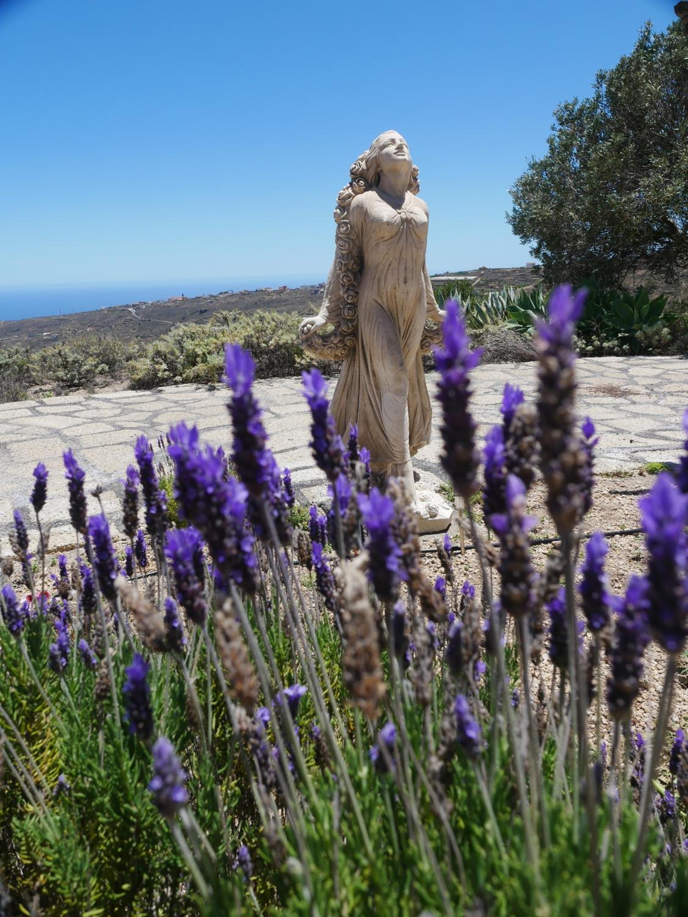 Casa Azul, Arico Viejo La Sabinita - Baden, wandern, klettern, Individualurlaub jenseits des Massentourismus, view 5