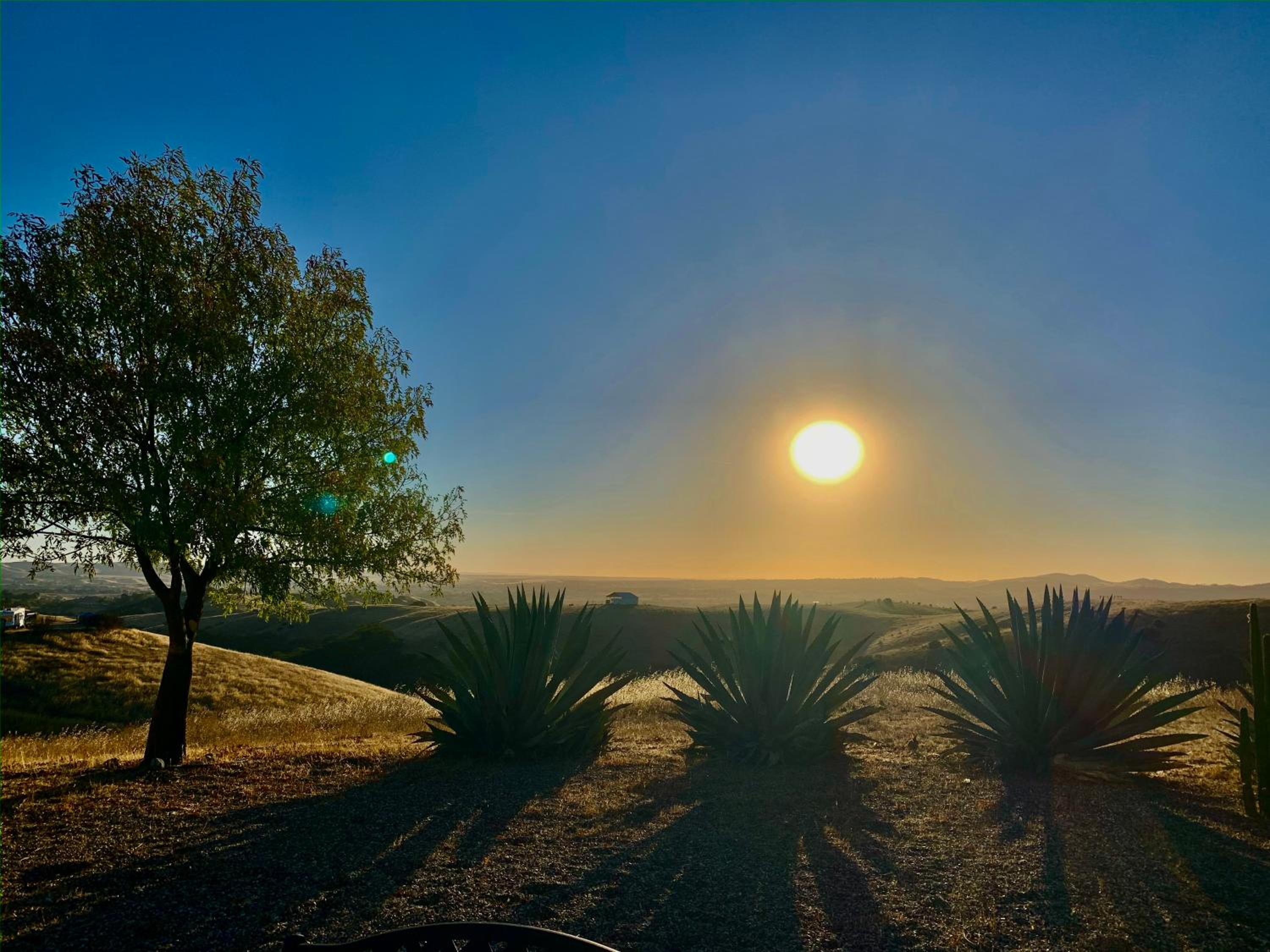 Lp1 Paso Robles Wine Estate Pool view 2