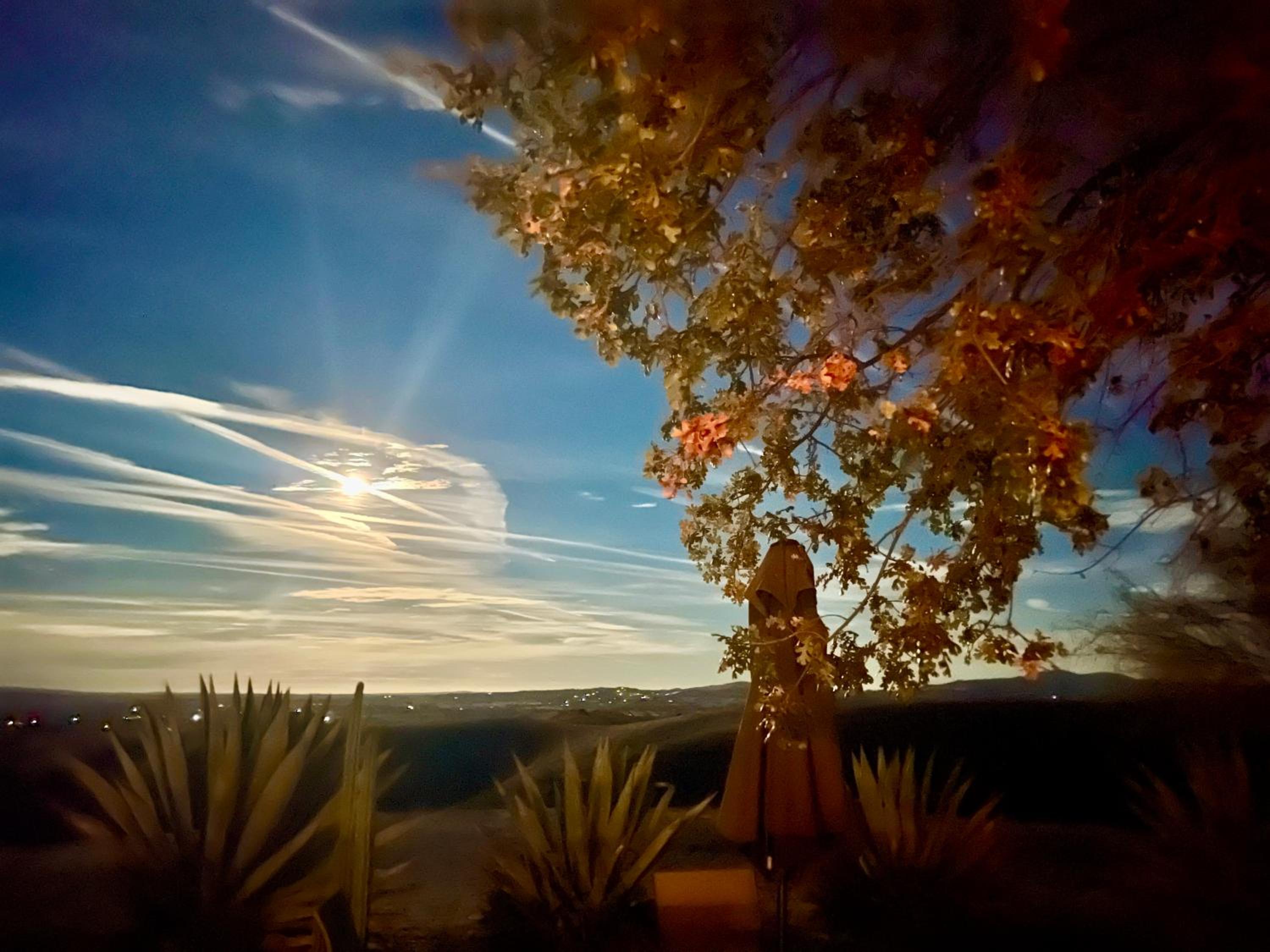 Lp1 Paso Robles Wine Estate Pool view 4