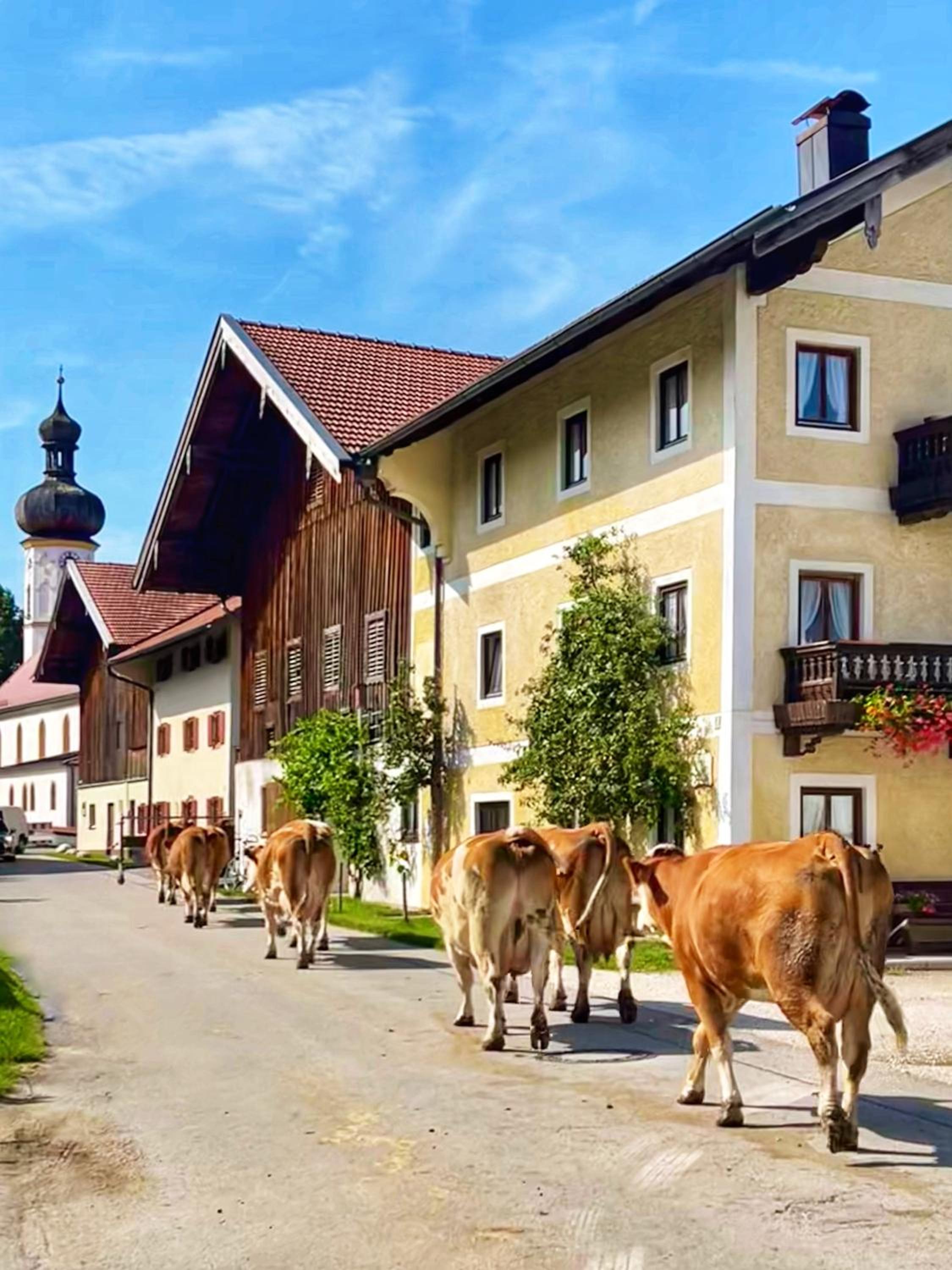 Almglück