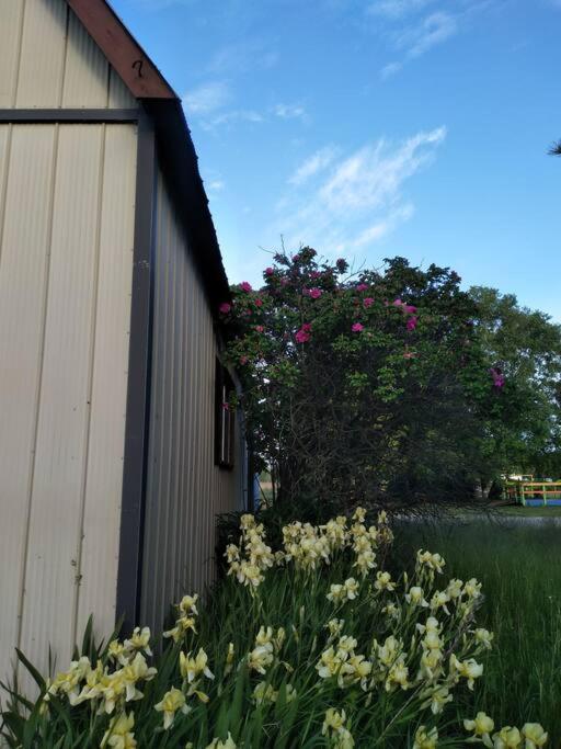 Northern Star Cottage