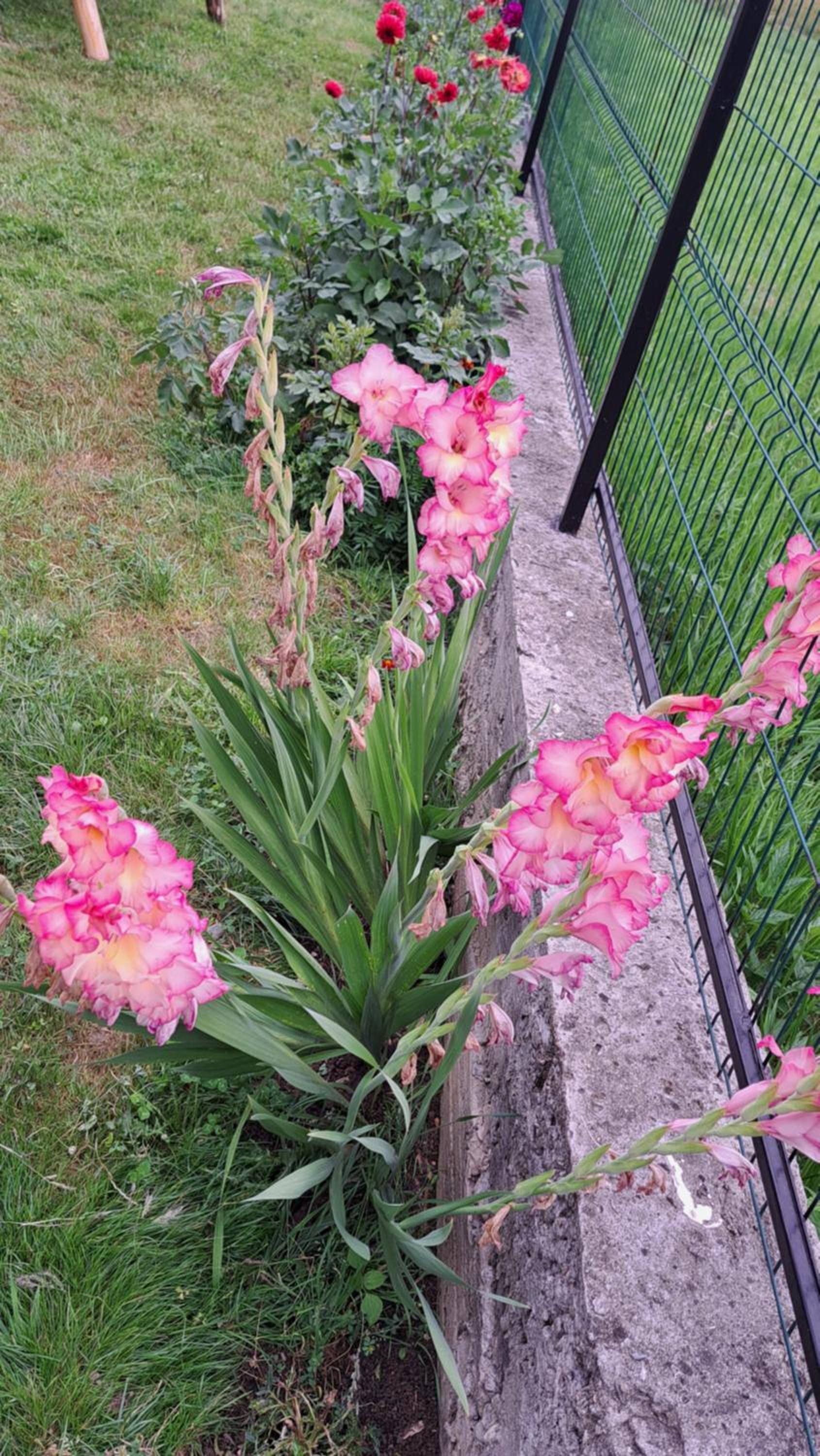 Pensiunea Eugenia