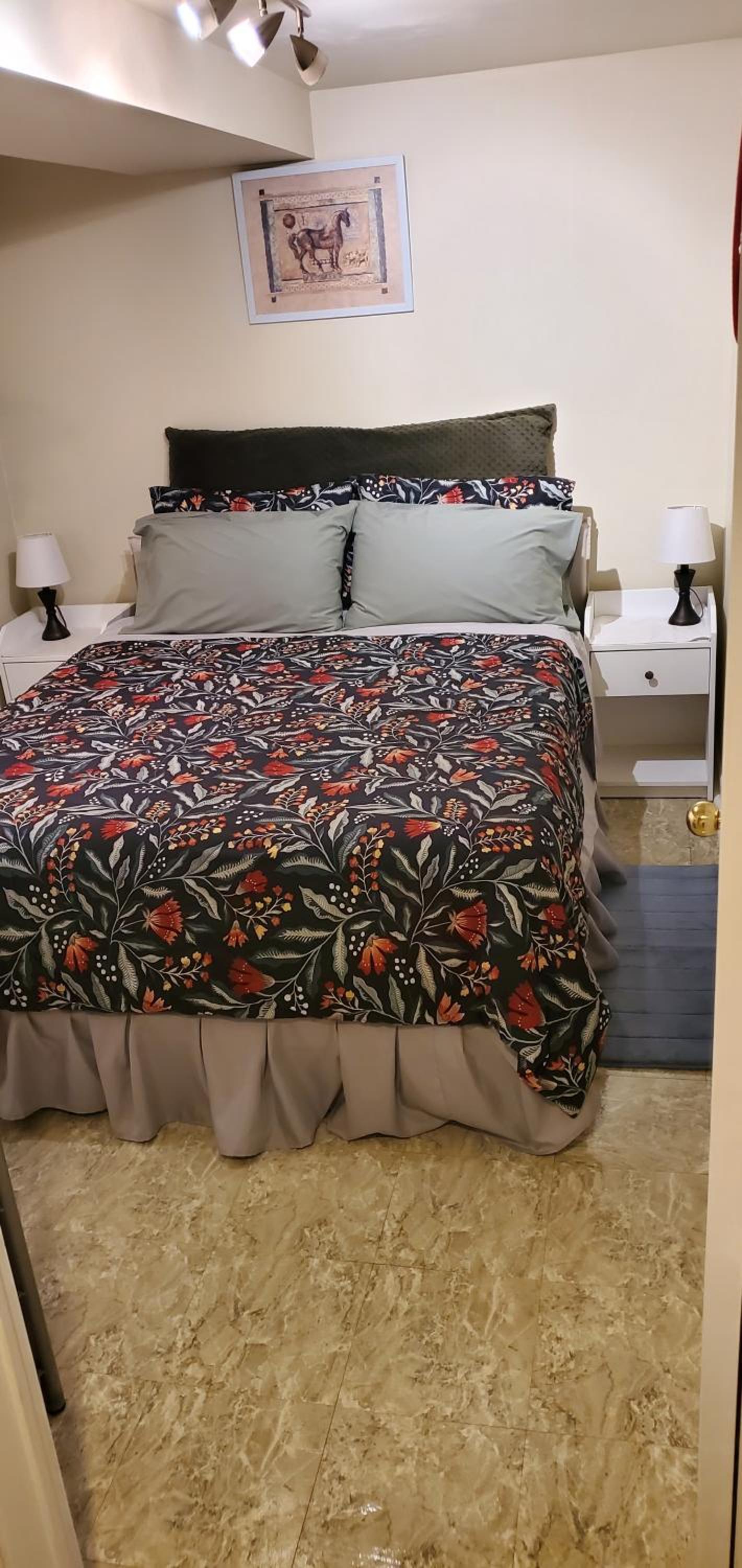 Private Apartment Close to Airport Toronto Pearson view 4