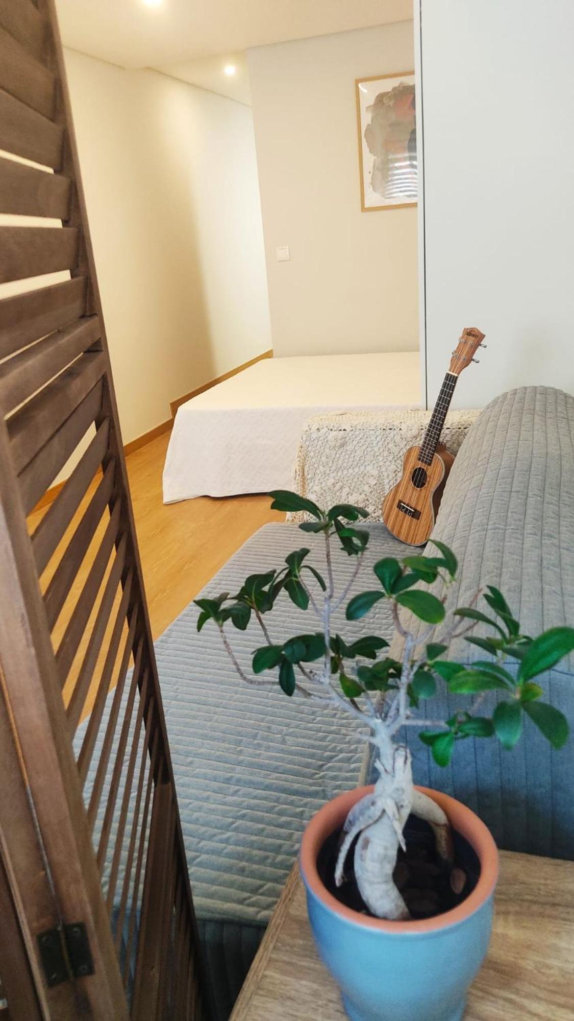Casa Coral - Lodging & Culture view 3