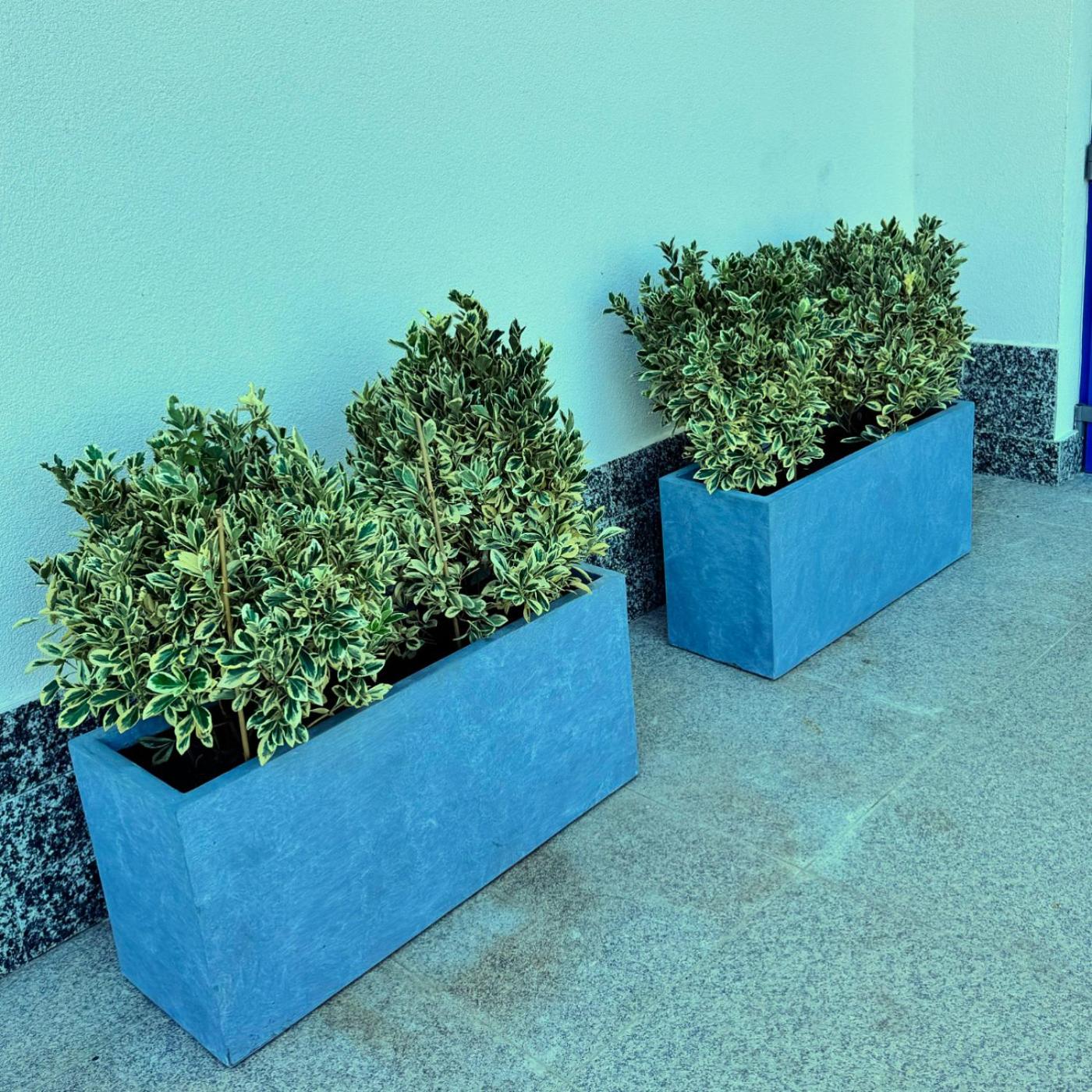 Photo 46