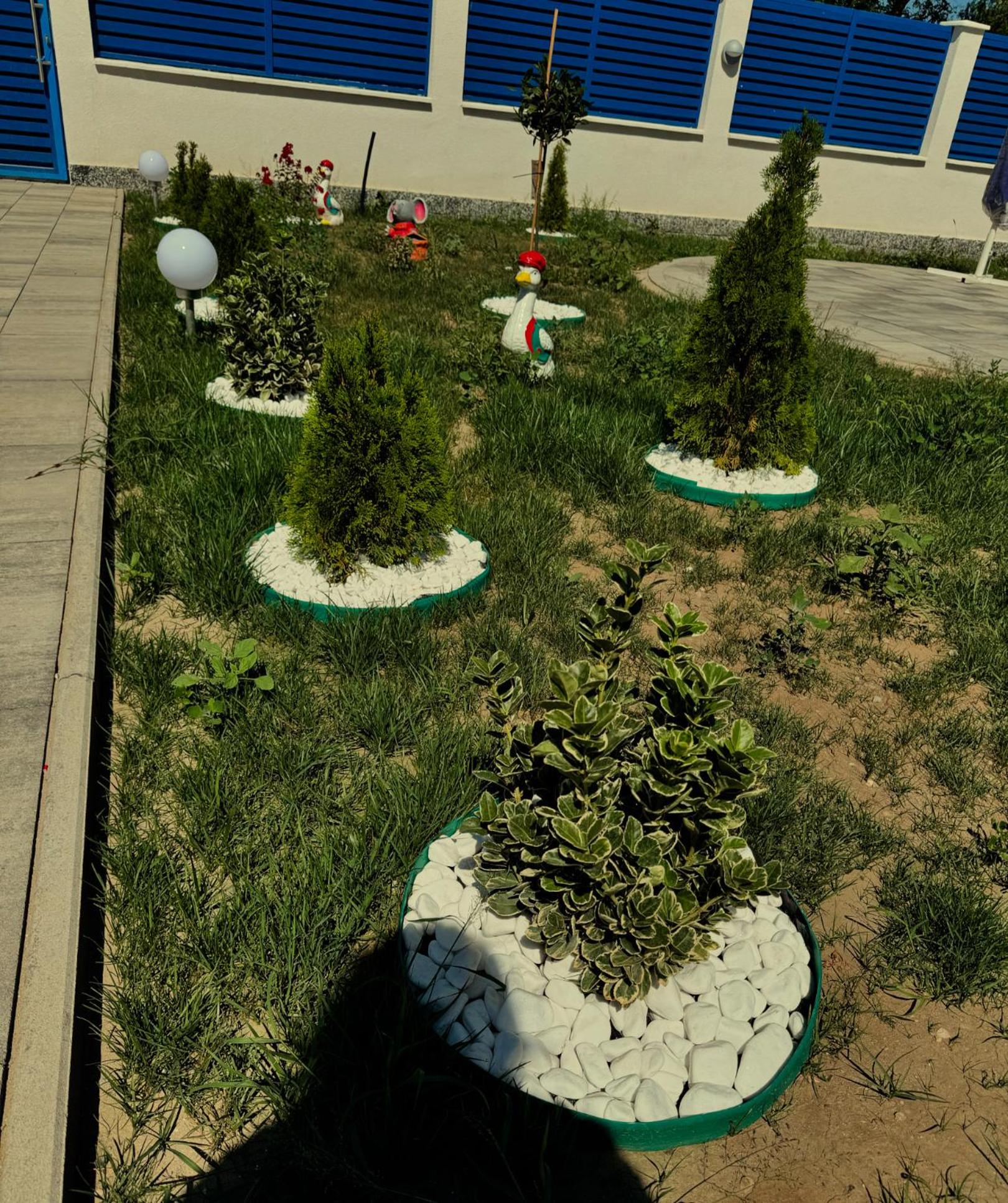 Photo 35