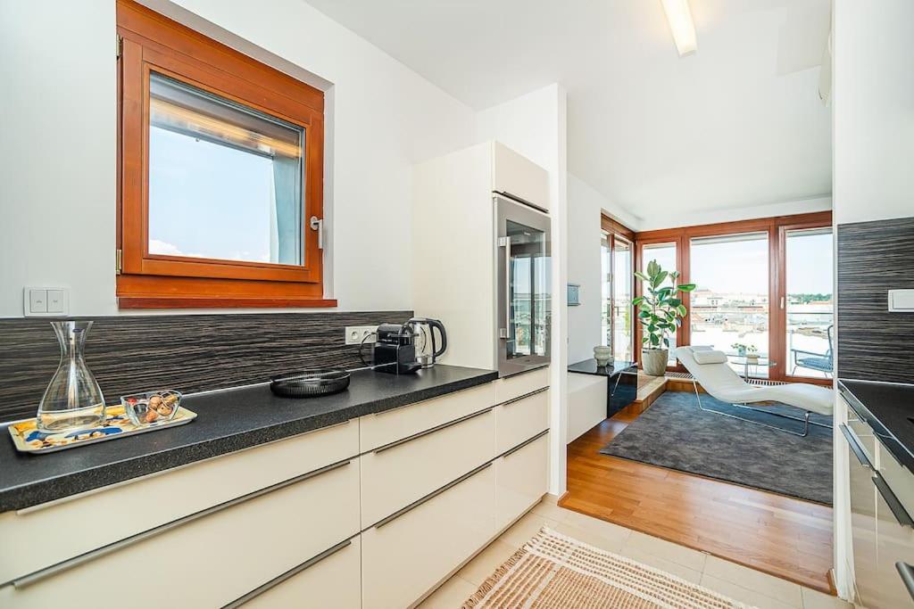Shiny Rooftop Apart with Free Garage